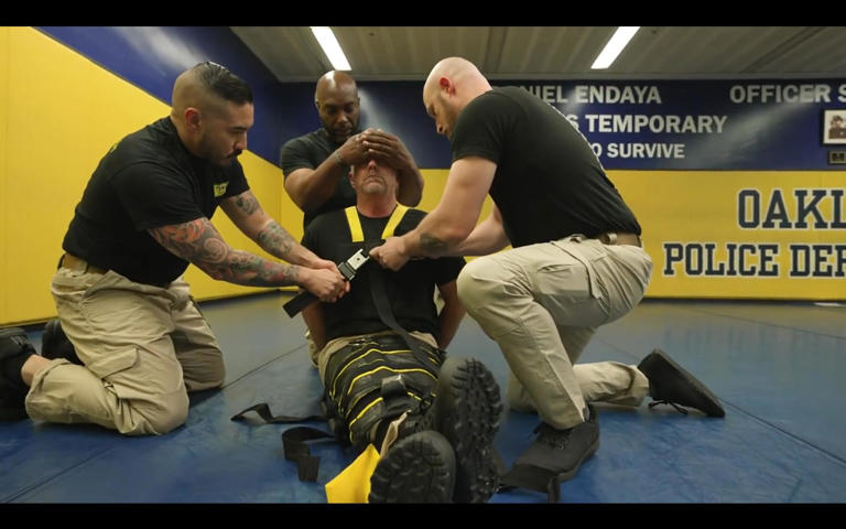 The Wrap safety restraint demonstration
ยฉ Safe Restraints' official website